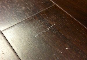 Stapling Vs Nailing Hardwood Floors Hardwood Floor Oil Vs Polyurethane Padding Pinterest
