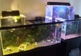 Star Wars Fish Tank Decor Understanding Upside Down Aquariums with Diagrams the Fish Tank