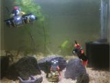 Star Wars Fish Tank Decorations for Sale New Shrimp Tank Setup Lego Fish Tank Cherryshrimp Scubadiver