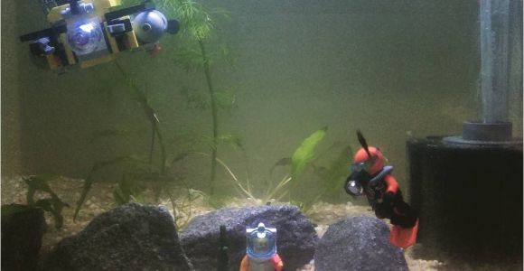 Star Wars Fish Tank Decorations for Sale New Shrimp Tank Setup Lego Fish Tank Cherryshrimp Scubadiver