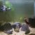 Star Wars Fish Tank Decorations New Shrimp Tank Setup Lego Fish Tank Cherryshrimp Scubadiver