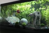 Star Wars themed Fish Tank Decorations Bogart16 U Bogart16 Reddit