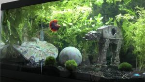 Star Wars themed Fish Tank Decorations Bogart16 U Bogart16 Reddit