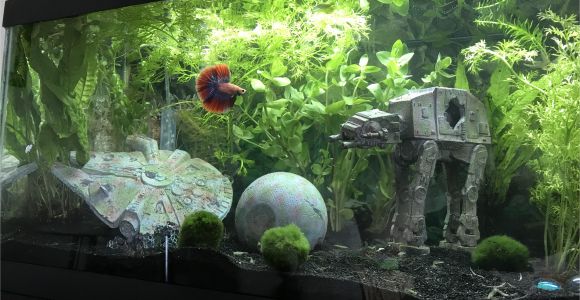 Star Wars themed Fish Tank Decorations Bogart16 U Bogart16 Reddit