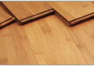 Strand Bamboo Flooring and Dogs Disability Friendly Floors – Bamboo Flooring by