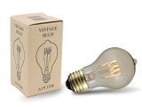 Sunbeam Light Bulbs Buy 60w A19 Vintage Edison Style Filament Bulbs Novelty Lights Inc