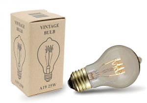 Sunbeam Light Bulbs Buy 60w A19 Vintage Edison Style Filament Bulbs Novelty Lights Inc