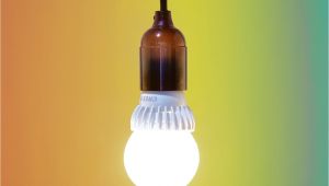 Sunbeam Light Bulbs the Best Led Light Bulbs for Vivid Rich Colors Wsj