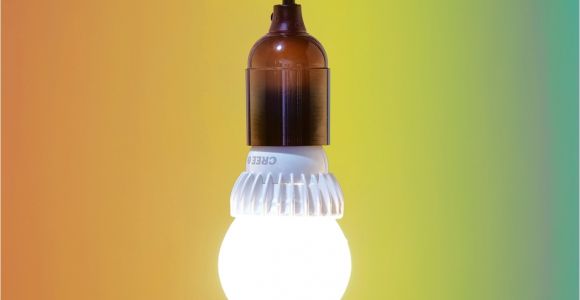 Sunbeam Light Bulbs the Best Led Light Bulbs for Vivid Rich Colors Wsj