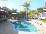Swimming Pool Floor Padding Tropical Backyard Paradise Bring the Pets Pool Deck Spa Garden