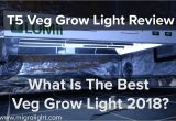 T5 Veg Light T5 Veg Grow Light Review What is the Best Veg Grow Light 2018