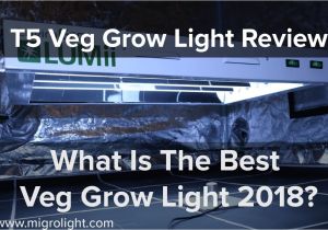 T5 Veg Light T5 Veg Grow Light Review What is the Best Veg Grow Light 2018