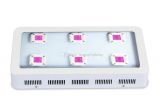 T5 Vs T8 Grow Lights Full Spectrum Led Grow Lights 800w 1000w 1200w Cob Led Grow Light Greenhouse Veg and Bloom Grows Hydroponic Systems Growing Lights