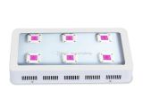 T5 Vs T8 Grow Lights Full Spectrum Led Grow Lights 800w 1000w 1200w Cob Led Grow Light Greenhouse Veg and Bloom Grows Hydroponic Systems Growing Lights