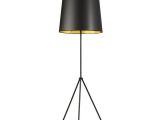 Table Lamps at Home Depot Radionic Hi Tech Odum 1 Light 66 In Matte Black Floor Lamp Fl Od3 F
