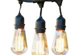 Target Rope Lights 48 Ft Ambience Pro Hanging Outdoor String Lights Vintage Edition