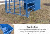 Tarter Farm and Ranch Equipment Goat Hay Rack 5 Ft Calf Creep Feeder Box Cattle Self Feeding Boxes Pinterest