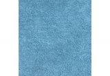 Teal Blue Furry Rug Fun Rugs area Rugs Rugs the Home Depot