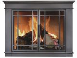 Temtex Fireplace Doors Matheson Masonry Fireplace Doors with Steel Welded Frame for Simple