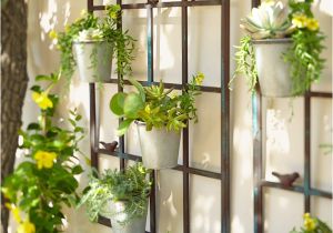 Terracotta Garden Wall Art Birdies Wall Planter Pinterest Shape Design Planters and Sunnies