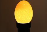 Tool Box Lights 1pc Led Eggtester Incubator Egg Candling Cold Llight Candler Test