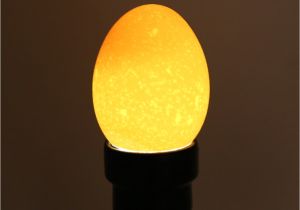 Tool Box Lights 1pc Led Eggtester Incubator Egg Candling Cold Llight Candler Test