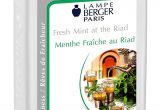 Top Rated Lampe Berger Scents Amazon Com Lampe Berger Fragrance Fresh Mint at the Riad 500ml