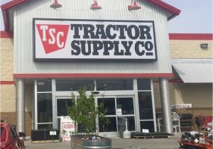 Tractor Supply Company Heat Lamp Tractor Supply Co Appliances 2705 Broad St Sumter Sc Phone
