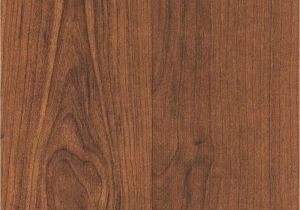 Trafficmaster Glueless Laminate Flooring Alameda Hickory Trafficmaster sonora Maple 8 Mm Thick X 7 11 16 In Wide X 50 5 8 In