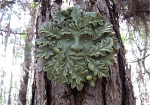 Tree Faces Garden Art Green Man Face Concrete Face Oak Tree Face Cement Faces Tree