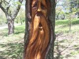 Tree Faces Garden Art Live Tree Woodspirit Wood Carving Projects Plans Pinterest