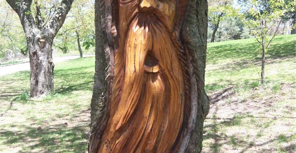 Tree Faces Garden Art Live Tree Woodspirit Wood Carving Projects Plans Pinterest