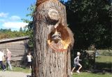 Tree Faces Garden Art Turning A Tree Stump In Cabbagetown Into Art Tree Stump Ideas