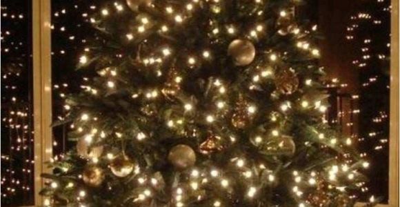Twinkle Light Christmas Tree Unique Of Diy Christmas Tree ornaments Collection