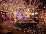 Twinkle Light Tree Light Tree Led String Lights 100leds with Eu Us Plug for Christmas