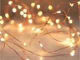 Twinkle Light Tree Seed Lights Copper Wire 5m Beautiful Seed Lights are so Timeless