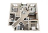 Two Bedroom Apartments Downtown Denver Bell Denver Tech Center Apartments In Denver Co