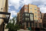 Two Bedroom Apartments Downtown Denver One Bedroom Apartments Denver Awesome top 10 Denver Dog Friendly