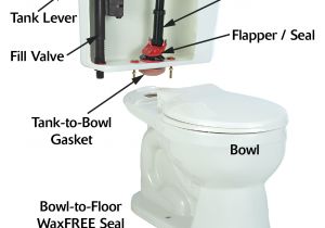 Types Of Bathtub Parts How Does A toilet Work Anatomy Of A toilet