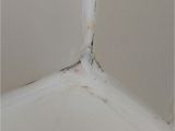 Types Of Tub Caulk is that Mold and Mildew In Your Bathroom Under the Caulk
