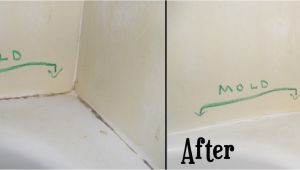 Types Of Tub Caulk Remove All Stains How to Remove Mold From Bathtub Clauk