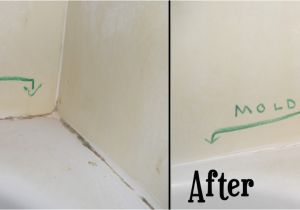 Types Of Tub Caulk Remove All Stains How to Remove Mold From Bathtub Clauk