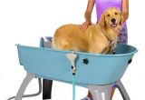 Used Dog Bathtubs for Sale Booster Bath