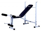 Used Workout Bench Body Gym Ez Multi Weight Bench 300 Buy Online at Best Price On Snapdeal