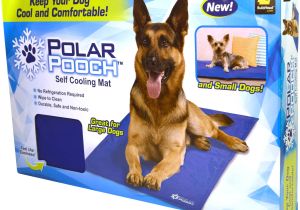 Using A Heat Lamp for Dogs as Seen On Tv Polar Pooch Cooling Mat Walmart Com