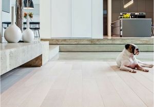 Using Engineered Wood Flooring On Walls the Terra Oak Artico Flooring Suits Perfectly This Very Contem