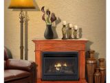 Ventless Gas Fireplace with Mantle Gas Fireplaces Fireplaces the Home Depot
