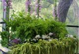 Vintage Bathtub Planter Ideas Vintage Bath Tub Planter