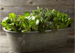 Vintage Bathtub with Stand Planter 20 Creative Ways to Repurpose Galvanized Buckets and Tubs