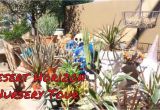 Viz Glass Garden Art Desert Horizon Nursery tour Talavera Pots Metal Garden Art